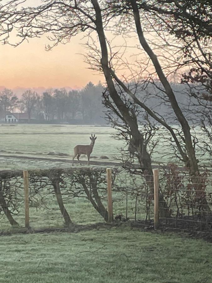 Vila Klein Bosland By Logeren Bij Saar Wijnjewoude Exteriér fotografie